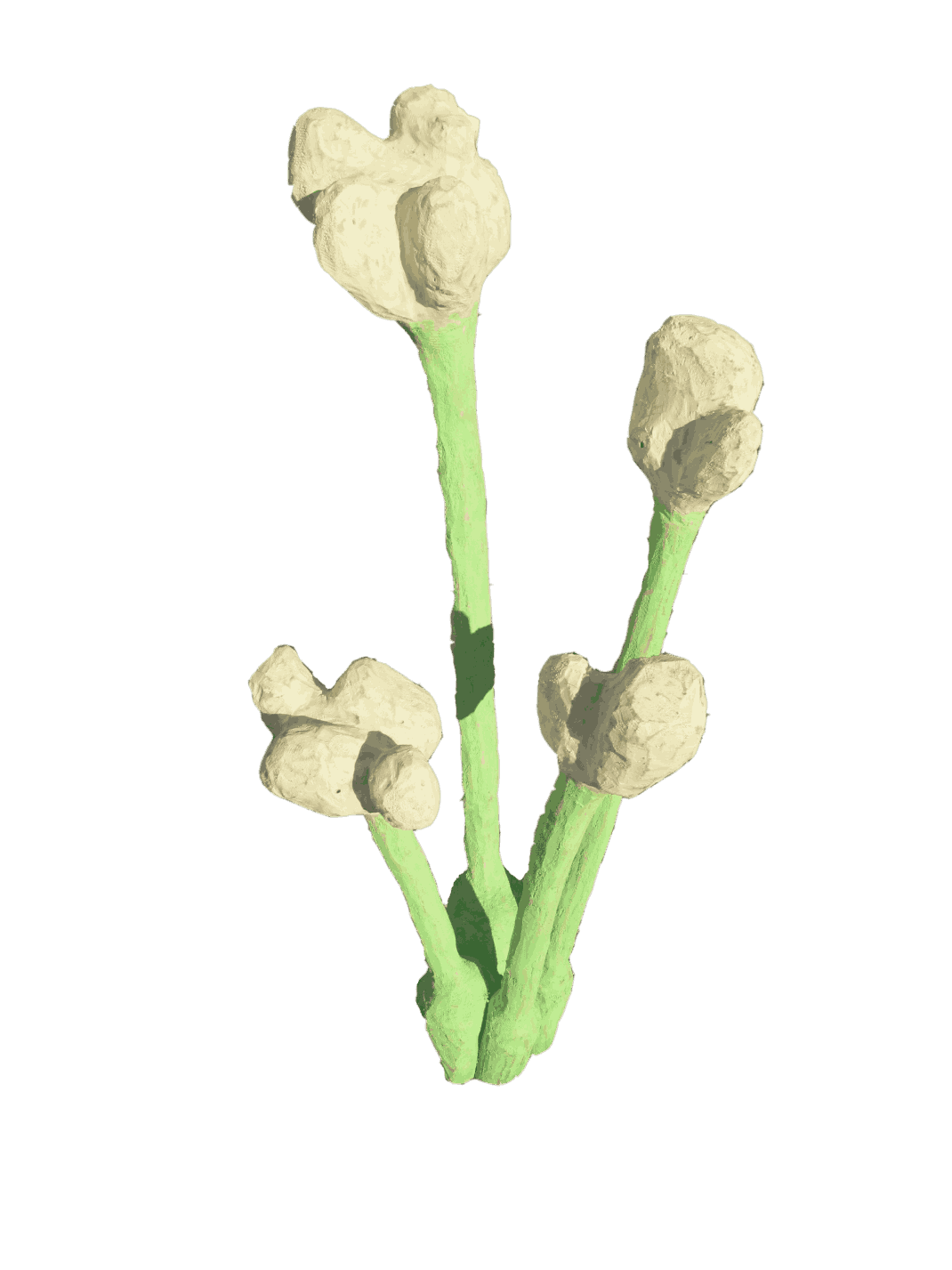 uo008
